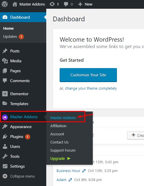 Can't see the Master Addon Element inside Elementor Page editor? 2 Master Addons Element control page